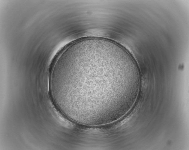 X0000094211123200711021109