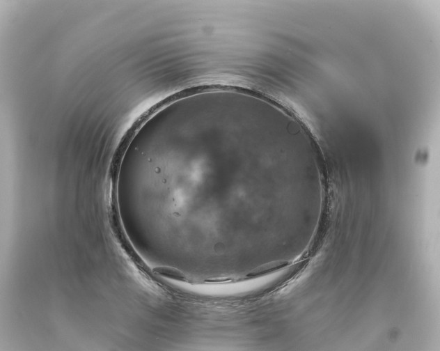 X0000094211125200711021109