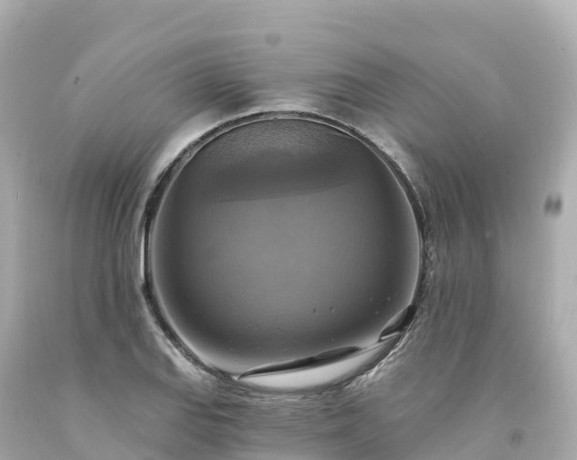 X0000094211127200711021109