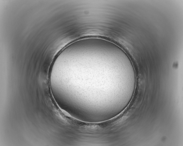 X0000094211129200711021109