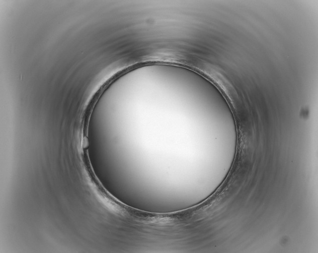 X0000094211131200711021110