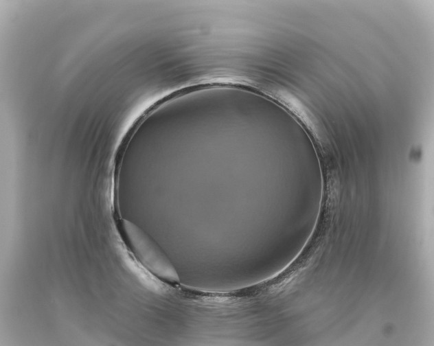 X0000094211132200711021110