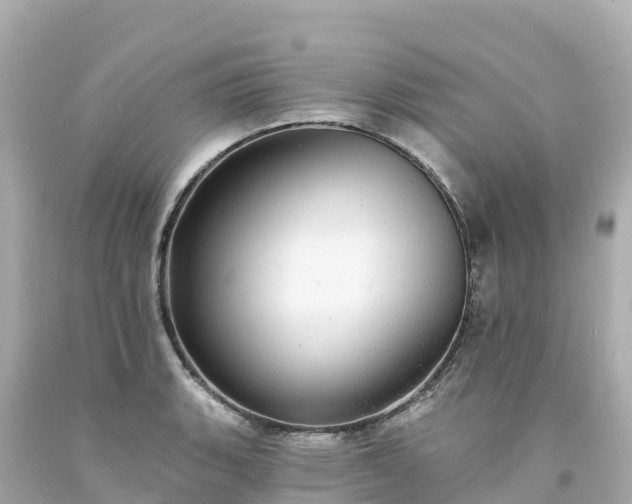 X0000094211135200711021110