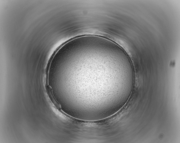 X0000094211136200711021110