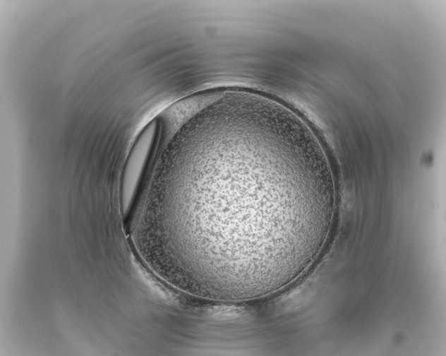 X0000094211137200711021110