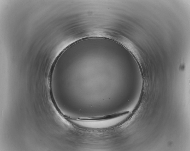X0000094211141200711021110