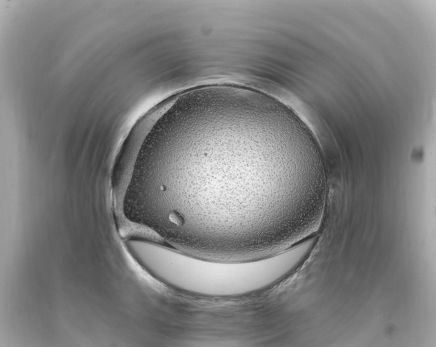 X0000094211143200711021110