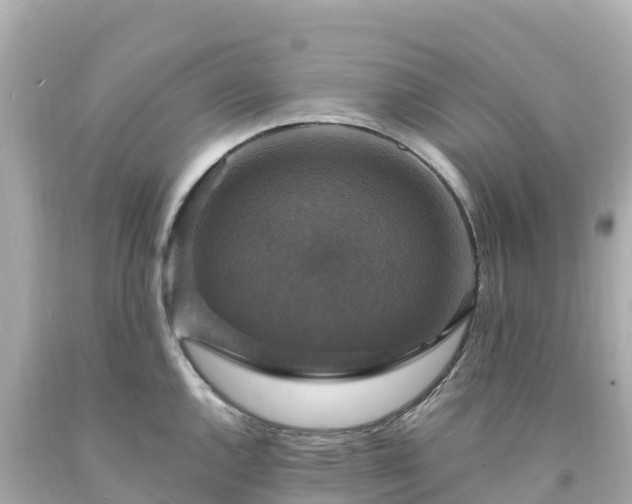 X0000094211144200711021110