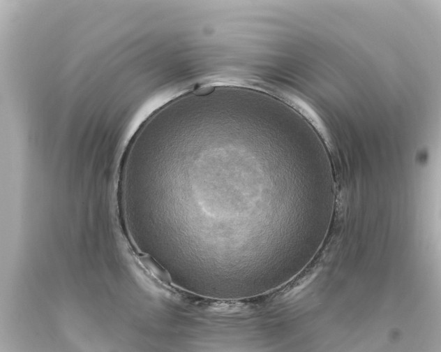 X0000094211146200711021110