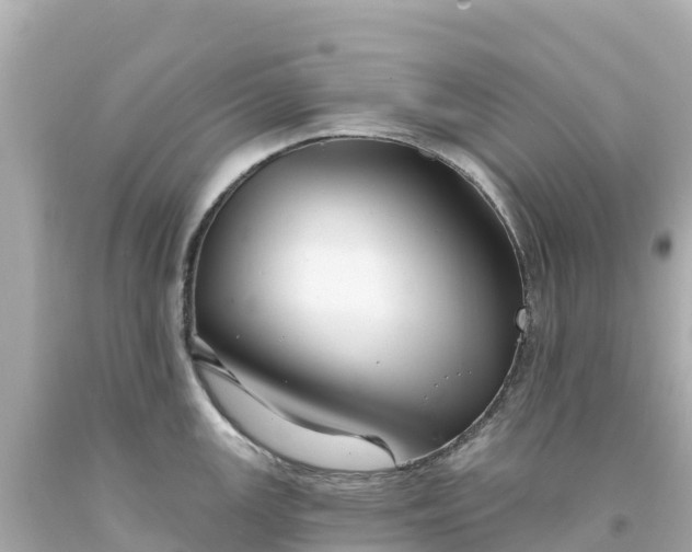 X0000094211147200711021110