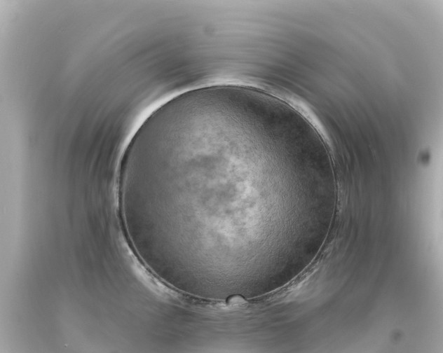 X0000094211148200711021110