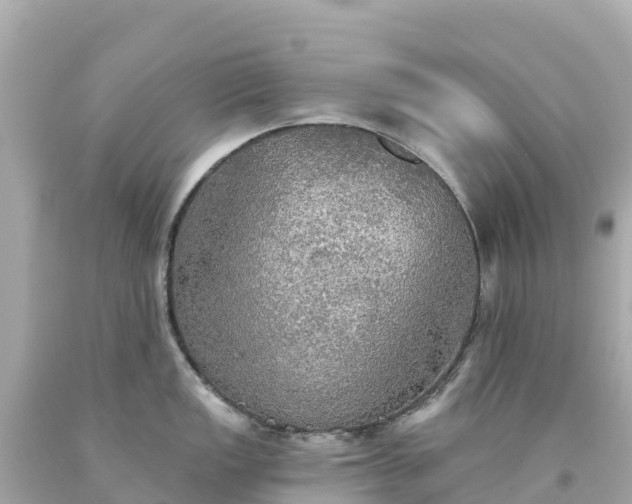 X0000094211149200711021110