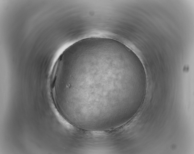 X0000094211152200711021110
