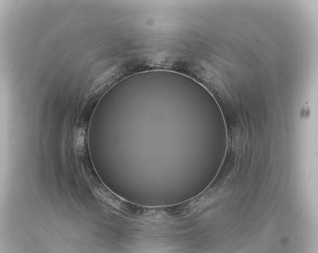 X0000094211154200711021109
