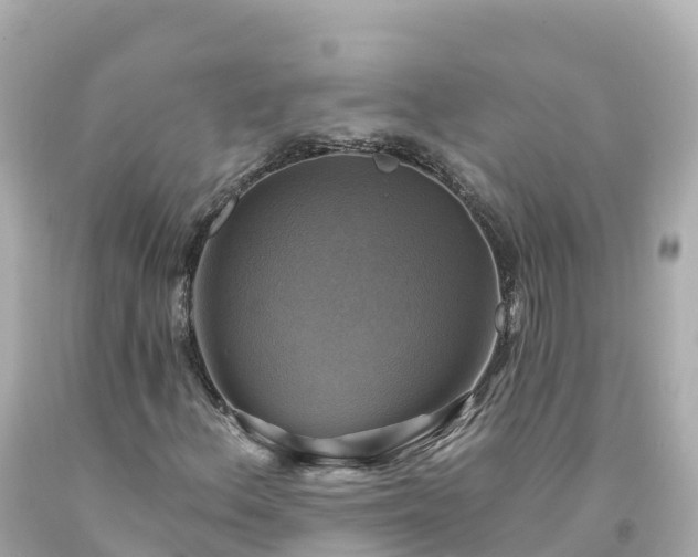 X0000094211156200711021109