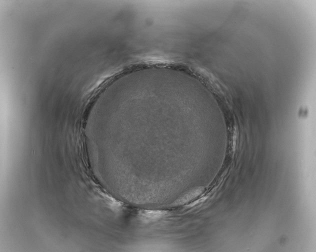 X0000094211157200711021109