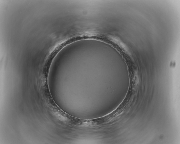 X0000094211160200711021109