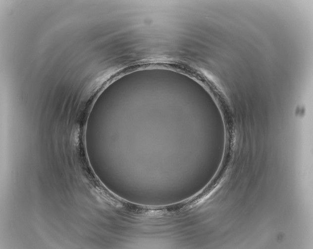 X0000094211161200711021109