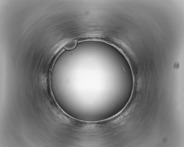 X0000094211162200711021109