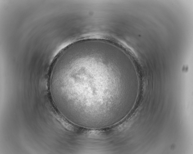 X0000094211166200711021109