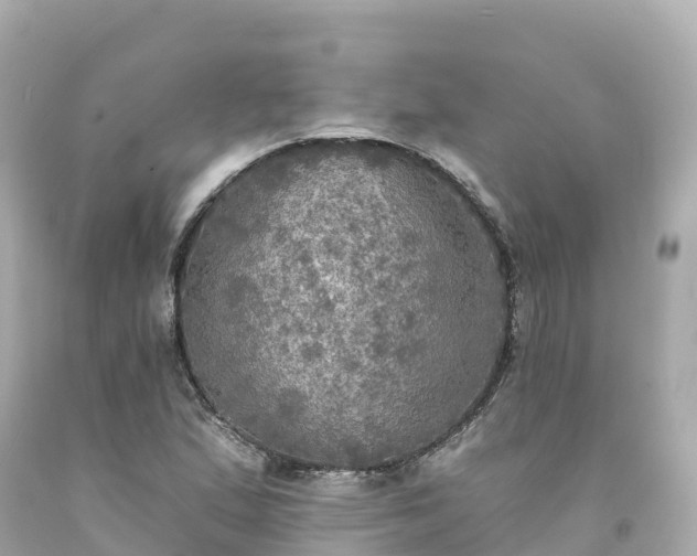 X0000094211167200711021109