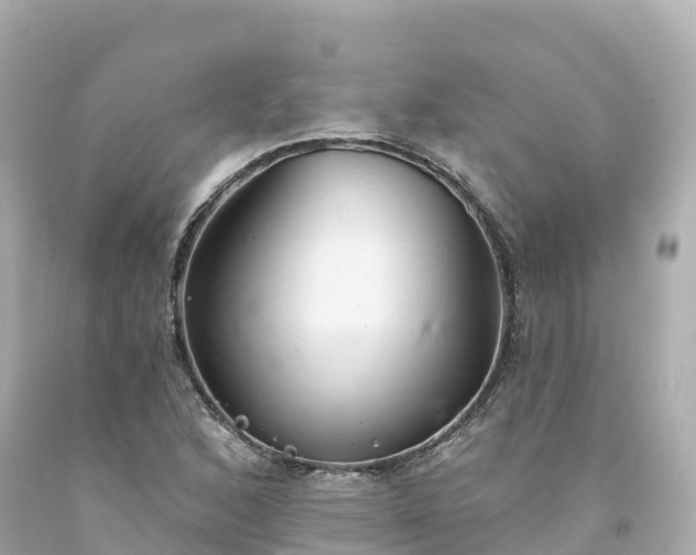 X0000094211168200711021109