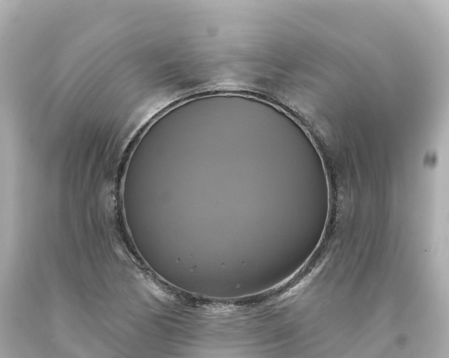 X0000094211170200711021109