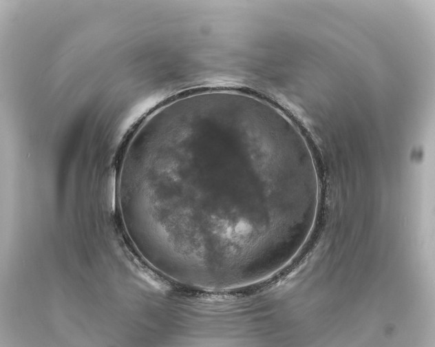 X0000094211171200711021109