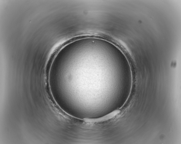 X0000094211172200711021109