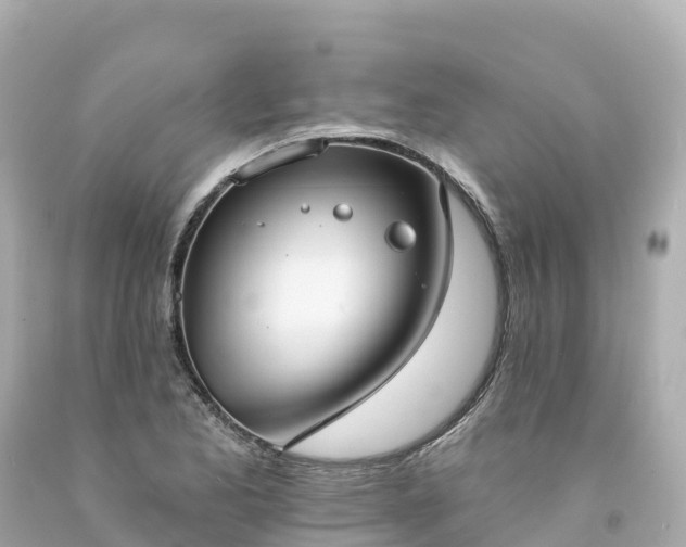 X0000094211173200711021109