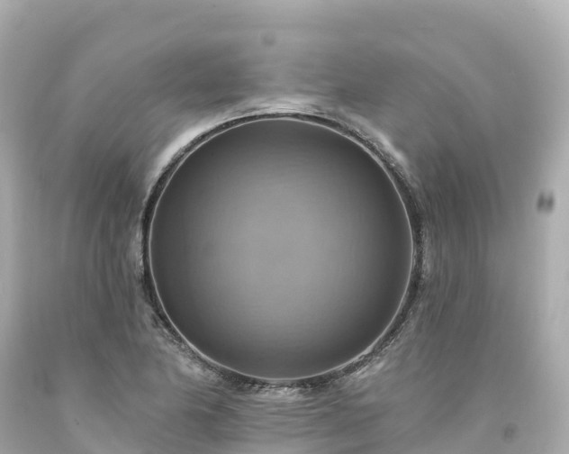 X0000094211174200711021109