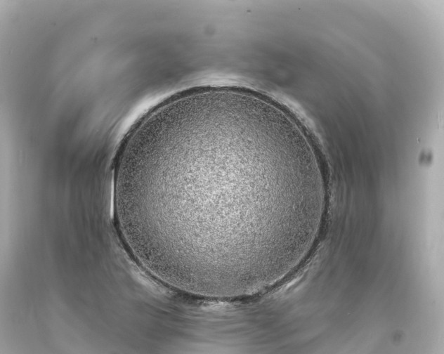 X0000094211175200711021109