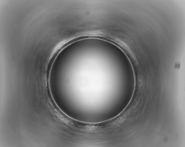 X0000094211176200711021109