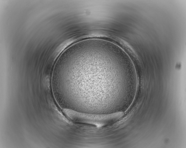 X0000094211177200711021109