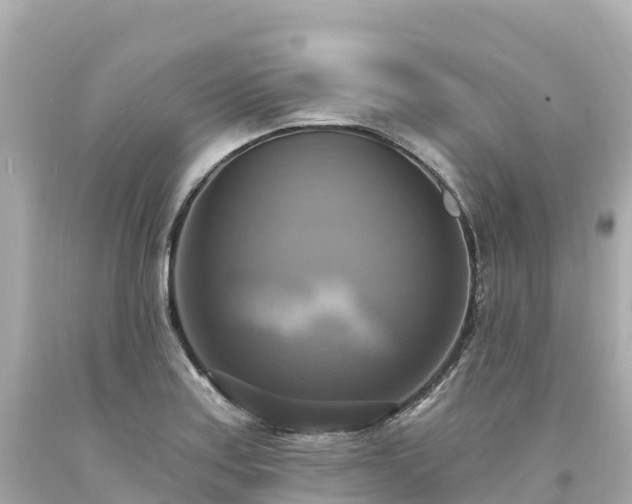 X0000094211179200711021109