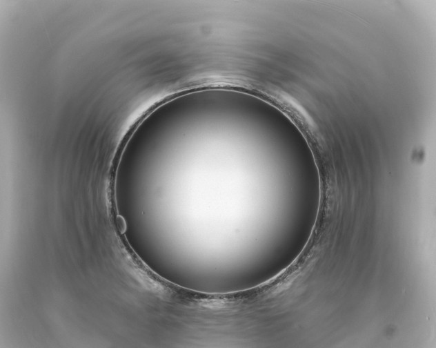 X0000094211182200711021109