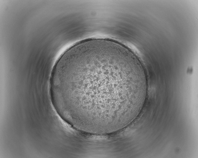 X0000094211183200711021109
