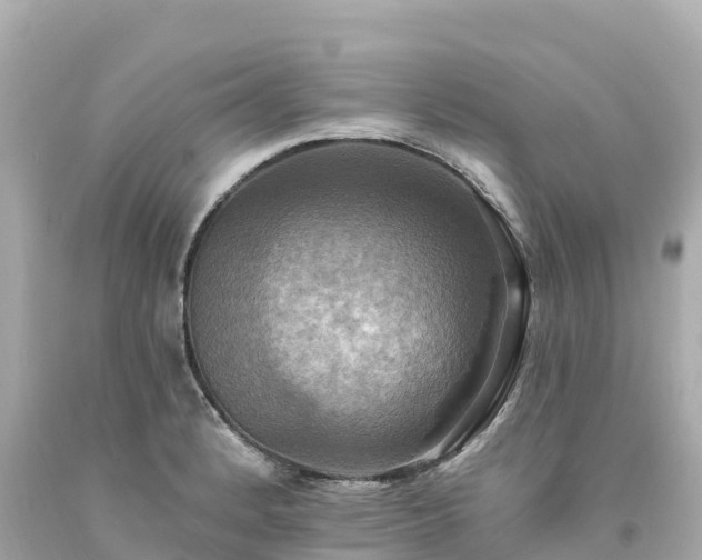 X0000094211184200711021109