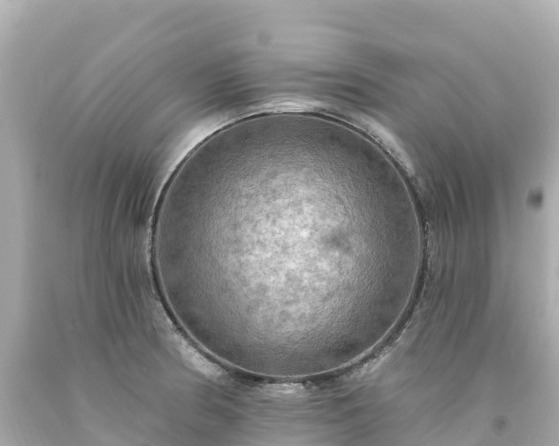 X0000094211186200711021109