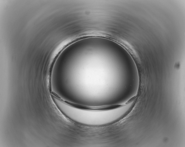 X0000094211188200711021109