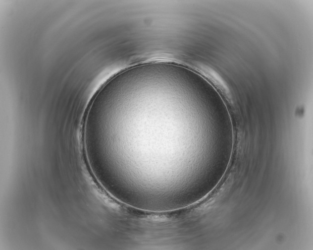 X0000094211190200711021109