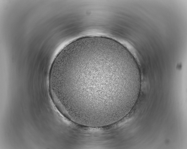 X0000094211191200711021109