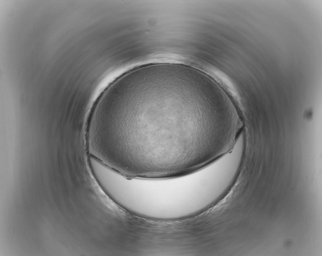 X0000094211192200711021109