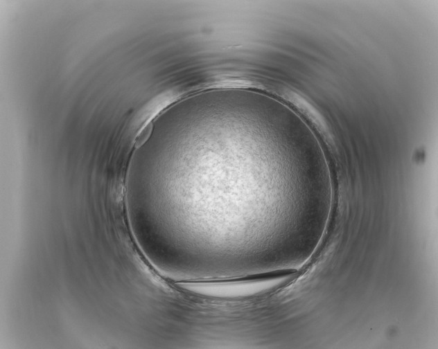 X0000094211193200711021109