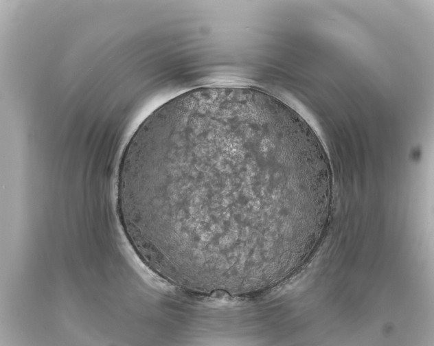 X0000094211195200711021109