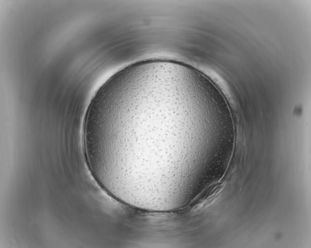 X0000094211199200711021109