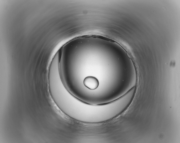 X0000094211200200711021108