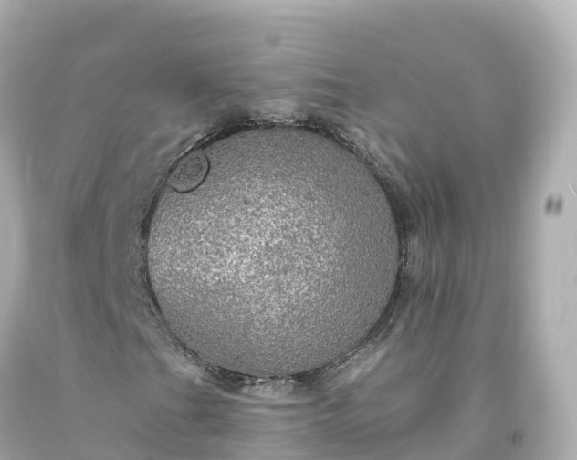 X0000094211201200711021108
