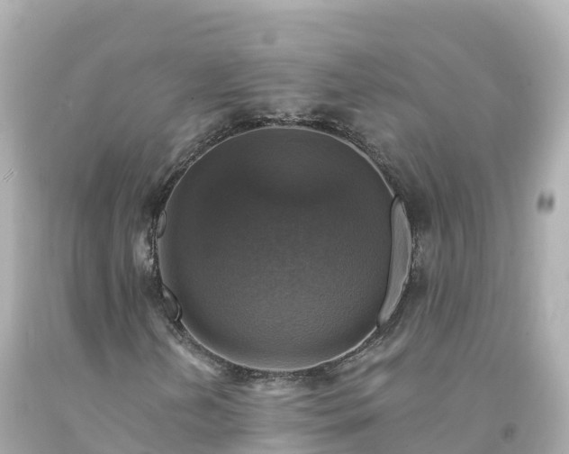 X0000094211202200711021108