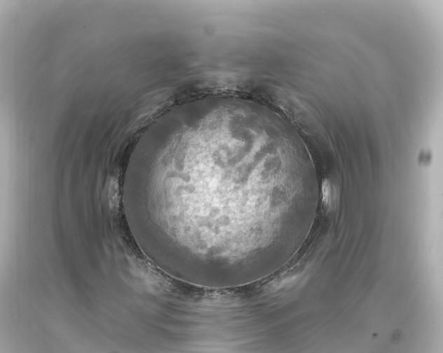 X0000094211203200711021108